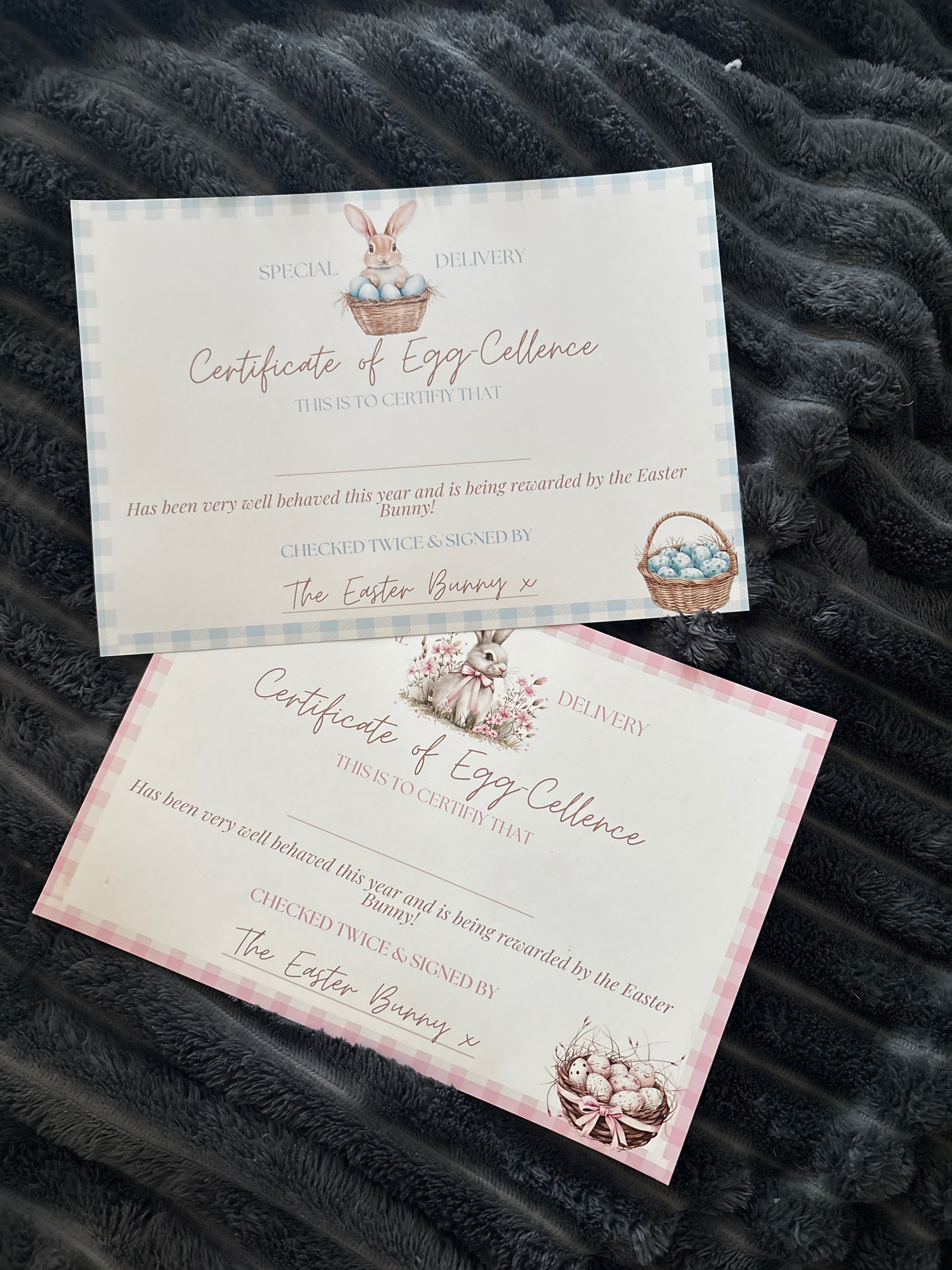 EASTER BUNNY CERTIFICATE