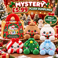 MYSTERY 15CM PLUSH DUMPLING NOVEMBER DISPATCH