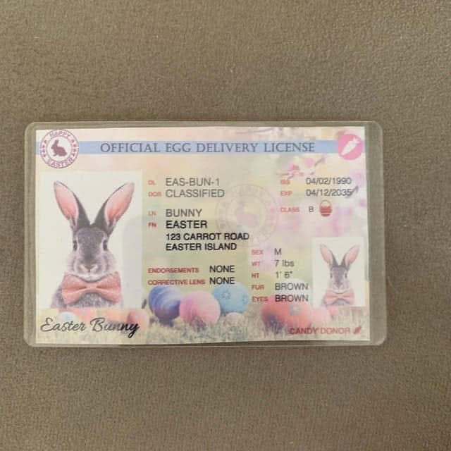 EASTER BUNNY LICENCE ( CARD)